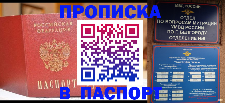 временная регистрация в квартире в Нововоронеже